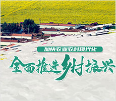 供给侧改项目专题
